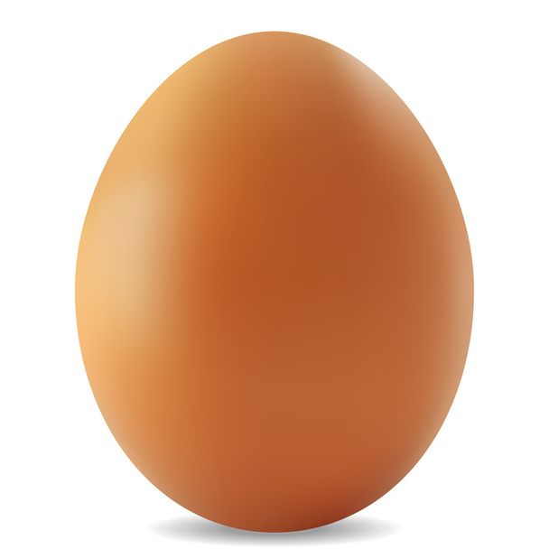 Eieren op een witte achtergrond - Vector, afbeelding