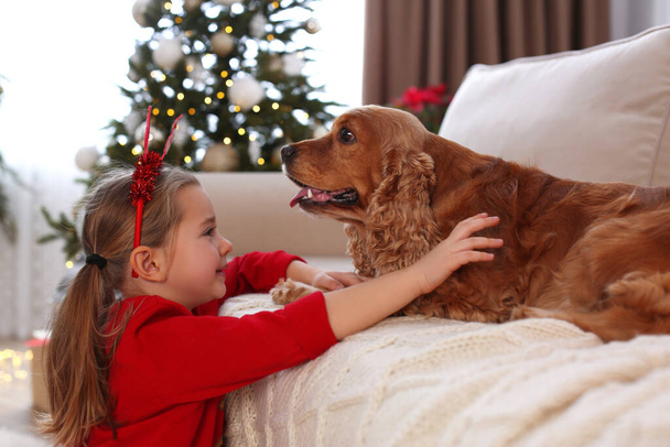 Cute little girl with English Cocker Spaniel in room decorated for Christmas - Foto, Imagen