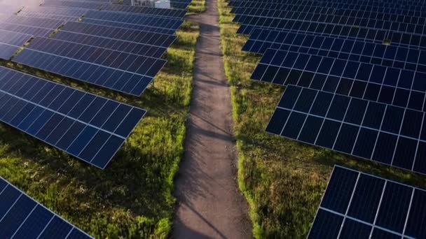 Вид сверху с воздуха на солнечные панели электростанции  - Кадры, видео