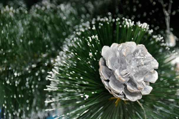 Cono de pino de abeto blanco en rama de Navidad de abeto con nieve. - Foto, Imagen
