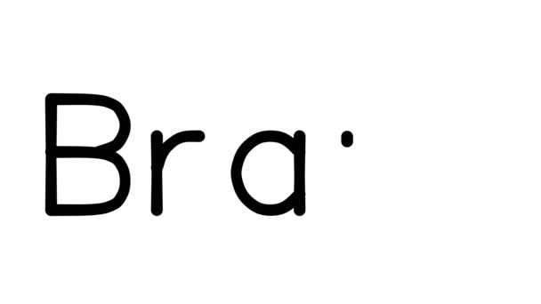 Braun Handwritten Text Animation in Various Sans-Serif Fonts and Weights - Footage, Video