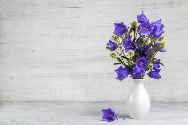 Bluebell λουλούδι σε ένα λευκό βάζο σε ένα ελαφρύ φόντο. - Φωτογραφία, εικόνα