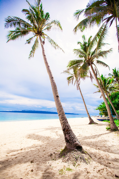 Trópusi tengerpart gyönyörű pálmafákkal és fehér homok - Fotó, kép