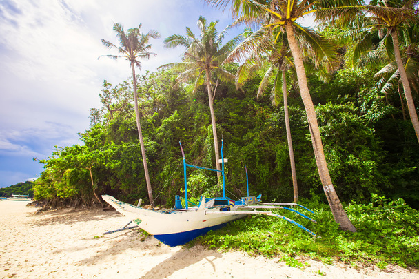 Bateau philippin entre les hauts palmiers sur la plage blanche
 - Photo, image