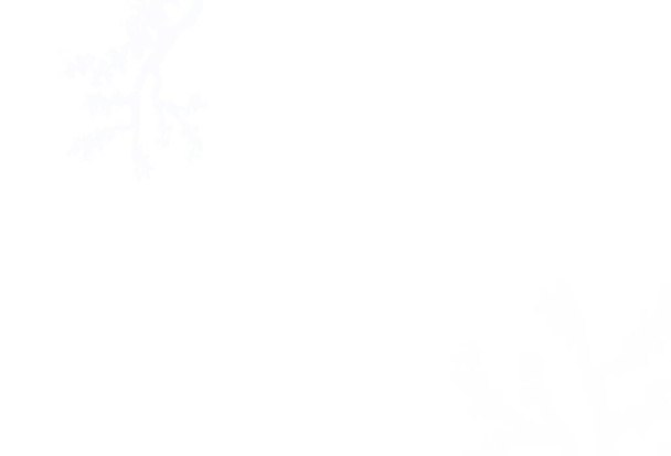 Modello scarabocchiare vettoriale azzurro e verde con rami. Illustrazione astratta colorata con foglie in stile doodle. Una nuova texture per il tuo design della carta da parati. - Vettoriali, immagini