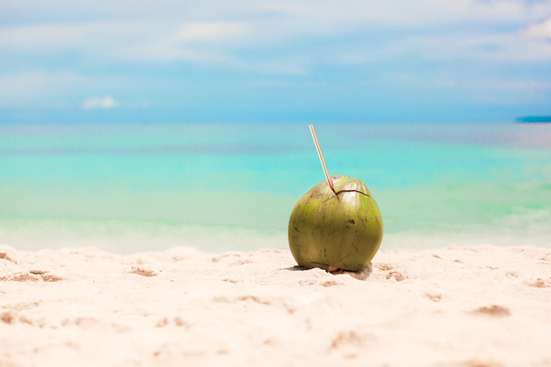 Coconut on the beach background turquoise sea and blue sky - Foto, Imagen