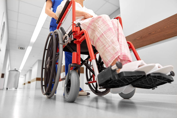 nurse with senior patient in wheelchair at clinic - Fotografie, Obrázek