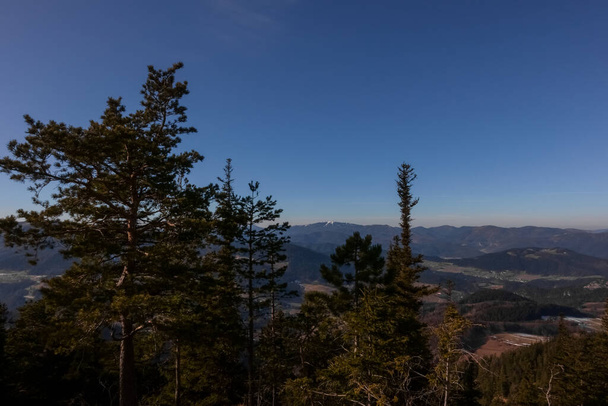 дерева і вид з гірського пейзажу на блакитне небо навесні
 - Фото, зображення