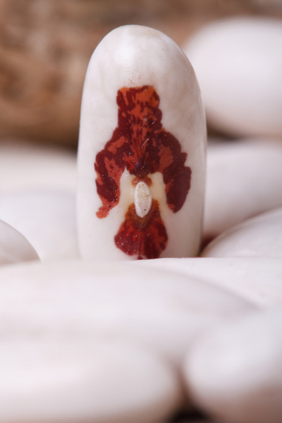hermoso blanco moteado frijoles con manchas rojas
 - Foto, Imagen
