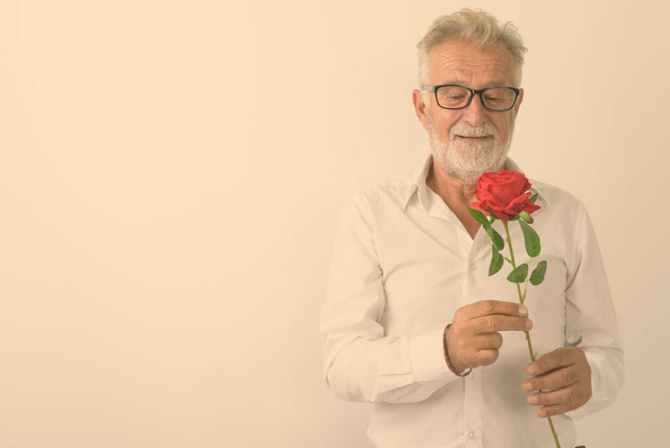 Studio zdjęcie przystojnego starszego brodatego mężczyzny trzymającego i patrzącego na czerwoną różę w okularach na białym tle - Zdjęcie, obraz