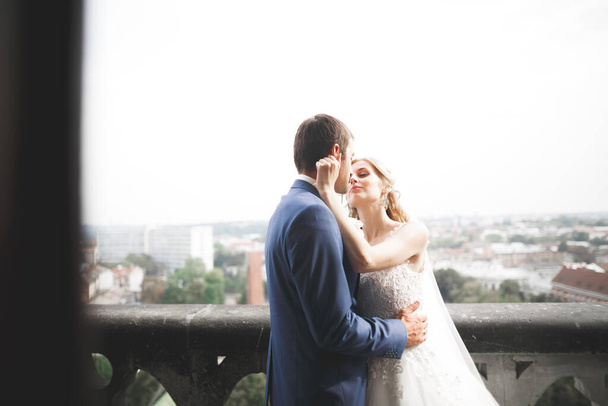 Perfect couple bride, groom posing and kissing in their wedding day - Photo, image