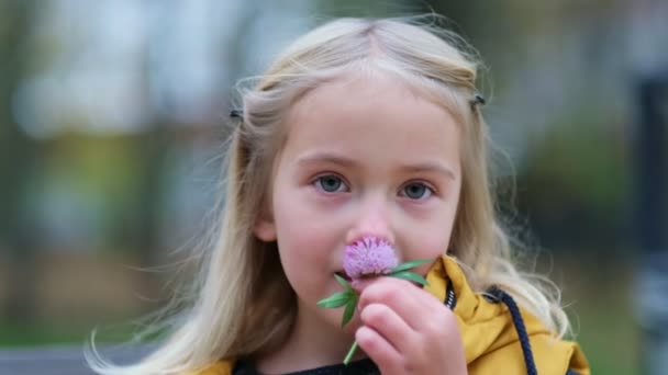 Egy bájos kislány portréja lóherevirágot tart a kezében. aranyos lány 5 éves ravasz szem néz félre egy mosollyal nézz a kamerába. Lezárjuk a videót. Lassított felvétel - Felvétel, videó
