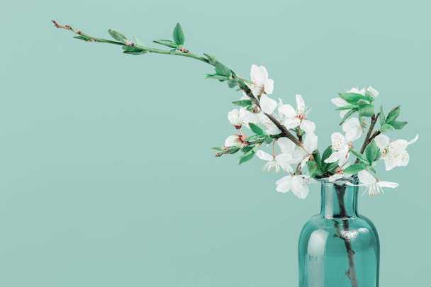 Spring or summer festive blooming with white flowers fruit tree branches in small green glass vase against tender green background. Fresh floral background with copy space - Photo, Image