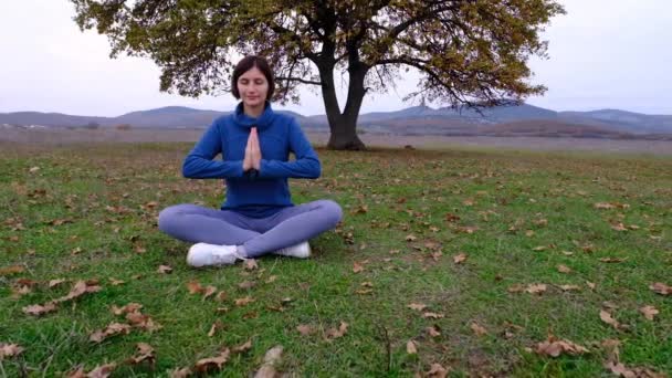 Mujer asiática atlética joven meditando en el campo por roble viejo, práctica de meditación de yoga zen en la naturaleza - Metraje, vídeo