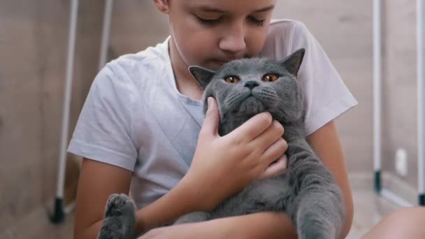 Smile Boy sitzt auf dem Boden, umarmt die graue britische Katze, spielt. Liebe zu Haustieren - Filmmaterial, Video
