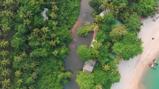 Flying above of river in tropical forest - Footage, Video