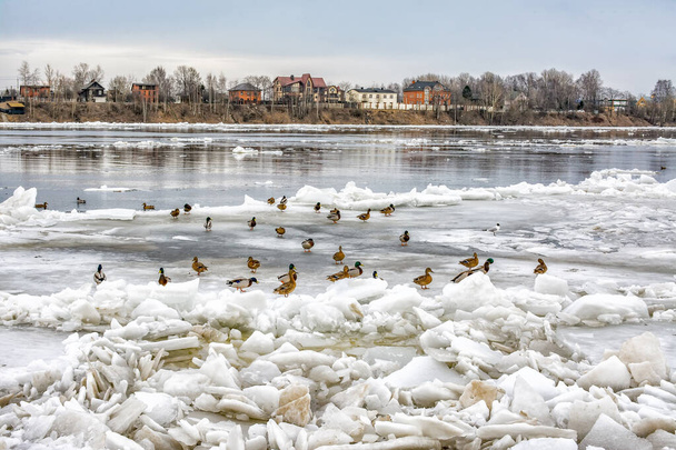 Desvio de gelo no rio Neva, em São Petersburgo, perto de Rybatskoye. - Foto, Imagem