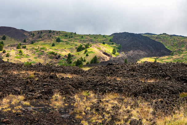 Vista del paisaje del volcán Etna entre las nubes cerca de Rifugio Sapienza. La vegetación típica del verano y las flores cubren parcialmente el flujo de lava. Sicilia, Italia - Foto, imagen