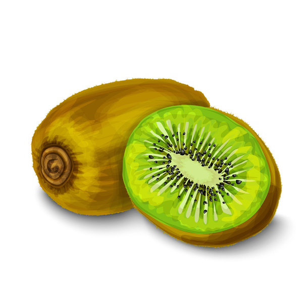 Afiche o emblema aislado Kiwi
 - Vector, imagen
