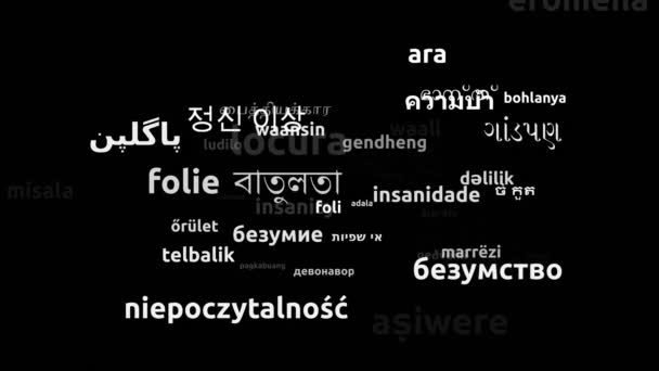 Šílenství Přeloženo v 53 světových jazycích Nekonečná smyčka 3D přiblížení wordcloud maska - Záběry, video