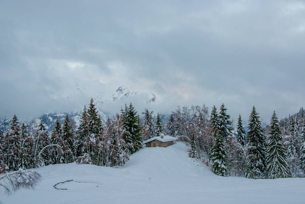 Casetta isolata nella neve - Foto, immagini
