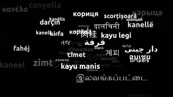 Cinnamon Przetłumacz komentarz Przetłumaczone na 62 Worldwide Languages Endless Looping 3d Zooming Wordcloud Mask - Materiał filmowy, wideo