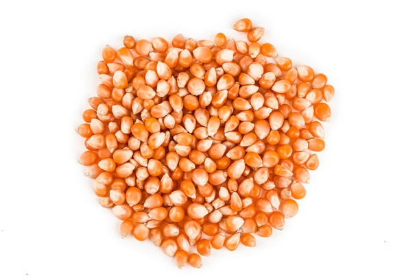 Corn on a white background - Фото, изображение