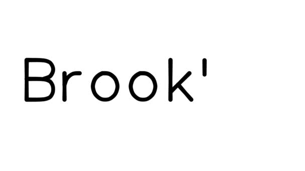 Brooklyn Handwritten Text Animation in Various Sans-Serif Fonts and Weights - Footage, Video