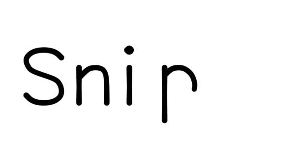 Χειρόγραφο κινούμενο κείμενο ελεύθερου σκοπευτή σε διάφορες γραμματοσειρές και βάρη Sans-Serif - Πλάνα, βίντεο