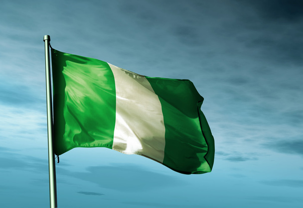 Νιγηρία σημαία κυματίζει με τον άνεμο - Φωτογραφία, εικόνα