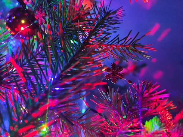 Χριστουγεννιάτικο δέντρο υποκατάστημα με διακοσμήσεις και γιρλάντες κοντά - Φωτογραφία, εικόνα