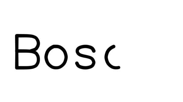 Χειροποίητο κείμενο κινούμενο σε διάφορες γραμματοσειρές και βάρη Sans-Serif - Πλάνα, βίντεο