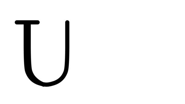 Ufo Animated Handwriting Text in Serif Fonts and Weights - Footage, Video