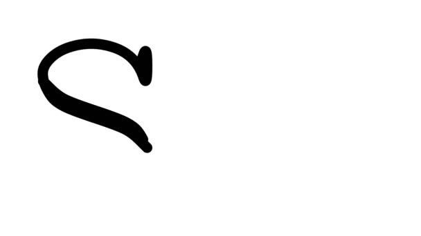 Sir Animated kézírás szöveg Serif betűtípusok és súlyok - Felvétel, videó