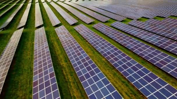 Elektrownia słoneczna na polu trawiastym z rzędami nowoczesnych paneli zbierających energię słoneczną. Nagranie lotnicze 4K. - Materiał filmowy, wideo
