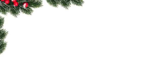 Decorative Christmas snowy frosty fir twigs with red berries in the corner of banner. Isolated on white background. Banner size. Winter holiday decoration and card concept. - Photo, image