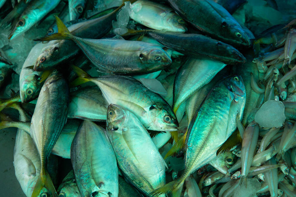Verse vis op markttafel te koop, Top view fotografie, Hoge kwaliteit beeld, vismarkt - Foto, afbeelding