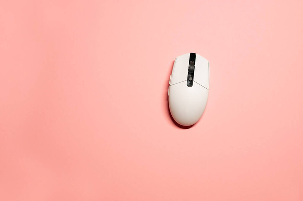 Minimalista plano laico foto de un ratón de plástico blanco inalámbrico sobre un fondo rosa aislado. - Foto, imagen