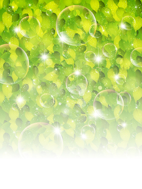 Fresh green leaf background - Vector, afbeelding