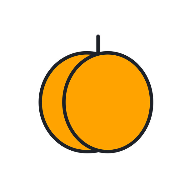 Peach icon. Linear color icon, contour, shape, outline. Thin line. Modern minimalistic design. Vector illustrations of fruits - Вектор,изображение