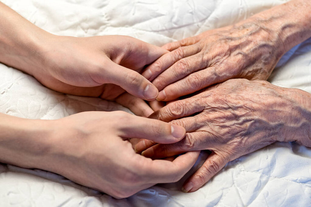 Old and young hands. Hands of an old woman-82 years in the young hands of a grandson - Photo, Image