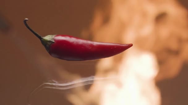 Detailní záběr červeného pepře na pozadí ohně. Záběry ze skladu. Horká červená chilli paprika na pozadí plamene ohně. Chilli paprika hoří jako plamen ohně. Propagační video s horkým pepřem - Záběry, video