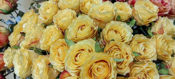 Close up of beautiful yellow roses flowers. High quality photo - Zdjęcie, obraz