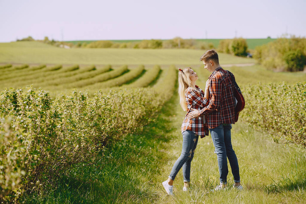Young man and woman couple in a summer field - Fotografie, Obrázek