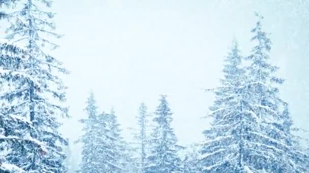 Bella neve soffice sui rami degli alberi. La neve cade splendidamente dai rami di abete rosso. Fiaba invernale, alberi in cattività di neve. Snowing video riprese invernali - Filmati, video
