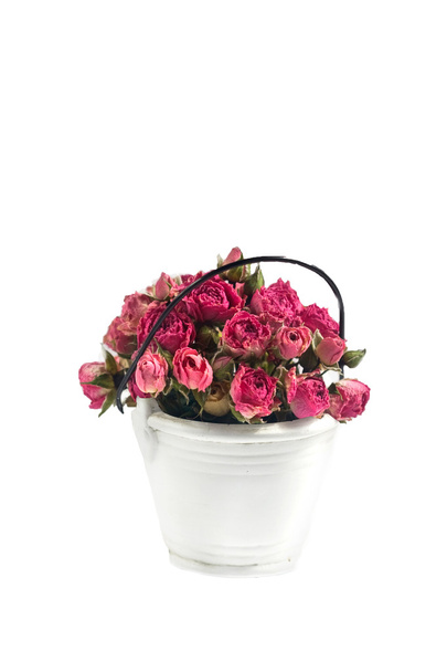 vaaleanpunaisia ruusuja koristeellinen pieni valkoinen ämpäri
 - Valokuva, kuva