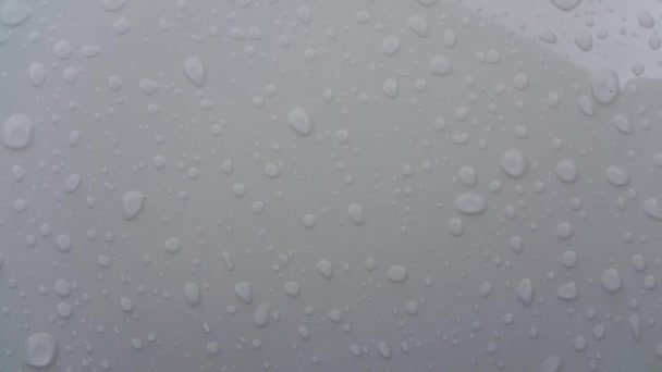 Vista da vicino delle gocce di pioggia su uno sfondo di colore bianco con gocciolamento d'acqua - Filmati, video