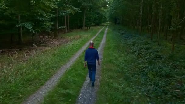 Чоловік ходить по брудній дорозі в пишному зеленому лісі, повітряна стежка вздовж камери, відео 4K
. - Кадри, відео
