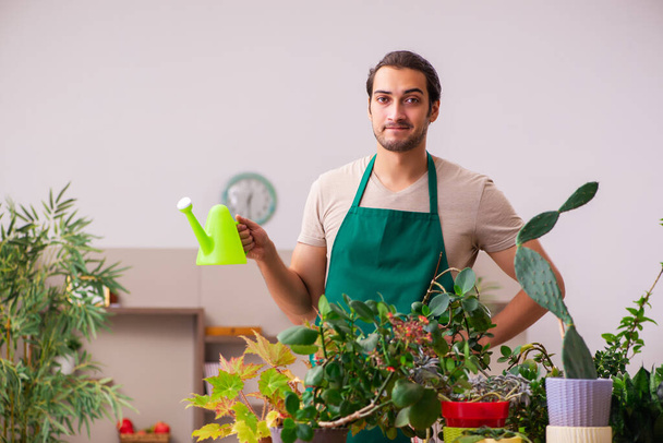 屋内に植物を持つ若い男性庭師 - 写真・画像