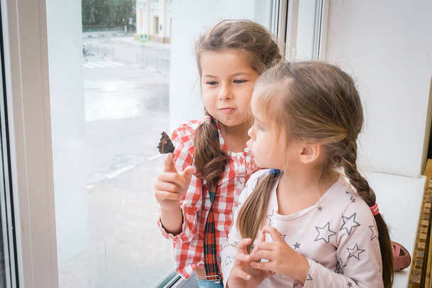 Two little girls sit on the windowsill and look at the swallowtail butterfly - 写真・画像